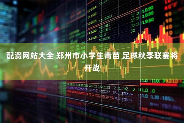 配资网站大全 郑州市小学生青苗 足球秋季联赛将开战