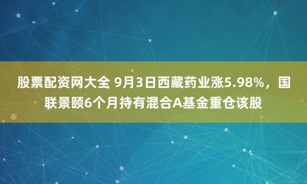 股票配资网大全 9月3日西藏药业涨5.98%，国联景颐6个月持有混合A基金重仓该股