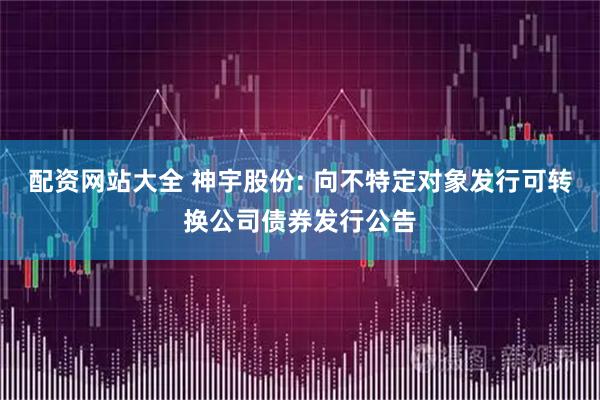 配资网站大全 神宇股份: 向不特定对象发行可转换公司债券发行公告