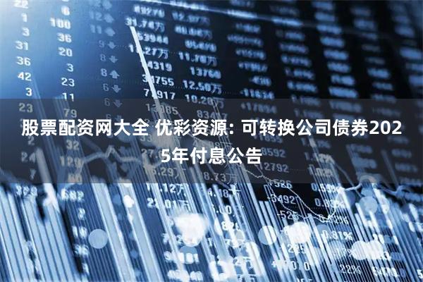 股票配资网大全 优彩资源: 可转换公司债券2025年付息公告